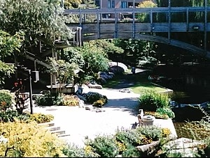 Landscaped commercial courtyard